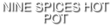 NINE SPICES HOT POT logo